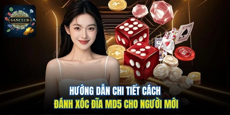 Hướng dẫn chi tiết cách đánh Xóc Đĩa MD5 cho người mới